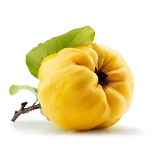 عکس به اصفهان